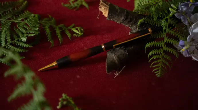 Stylo en bois